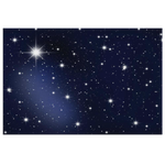 HEAVENLY STARS - CANVAS ART