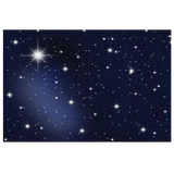HEAVENLY STARS - CANVAS ART